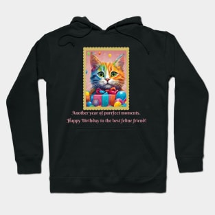 Happy Birthday Cat (Cat Lovers Motivational and Inspirational Quote) Hoodie